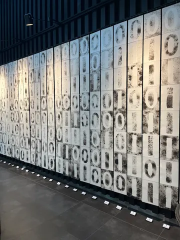 Where do we come from?
