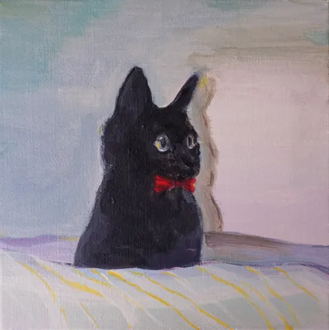 검은고양이 Black cat