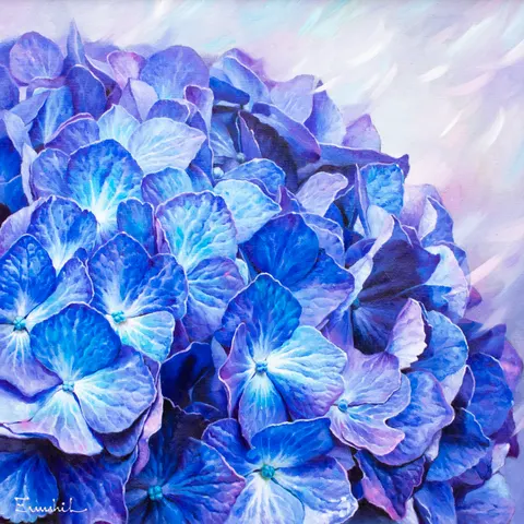 Hydrangea Blue