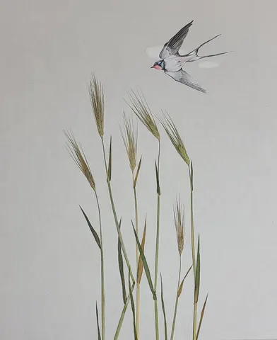 제비